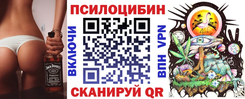 Псилоцибиновые грибы Cubensis  закладка  Каспийск 