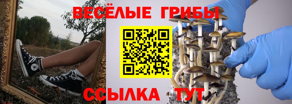 Каспийск  Галлюциногенные грибы Magic Shrooms  Вход с VPN  Галлюциногенные грибы Magic Shrooms 