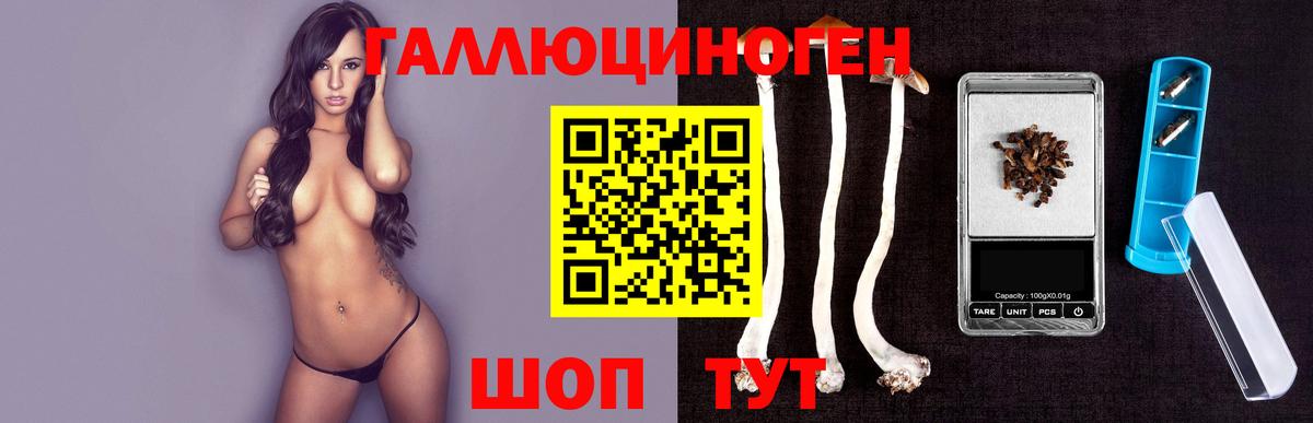 Галлюциногенные грибы Psilocybe Каспийск